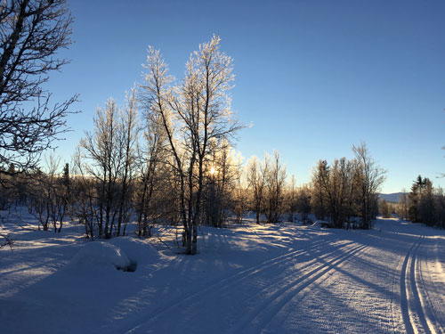 The Venabu landscape is open and rolling, surrounded by mountains and birch forest, perfect for Nordic skiing