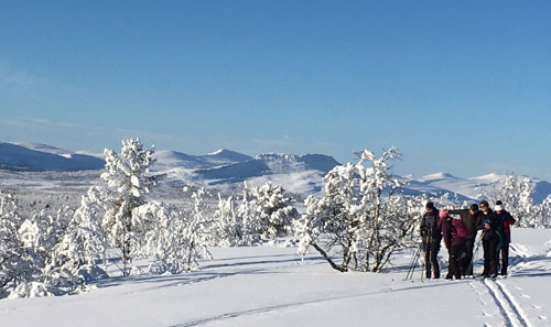 The Venabu landscape is open and rolling, surrounded by mountains and birch forest, perfect for Nordic skiing