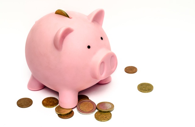 How much does long term care cost?