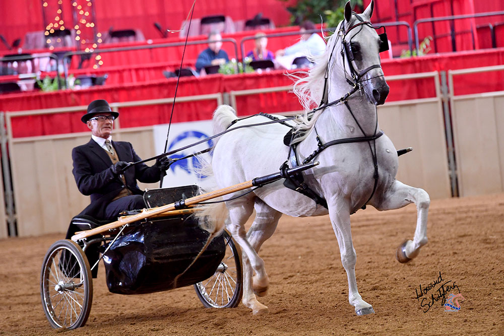 The U.S. National Arabian and Half-Arabian Championship Horse Show is like nothing else most people will ever experience in their lifetime.