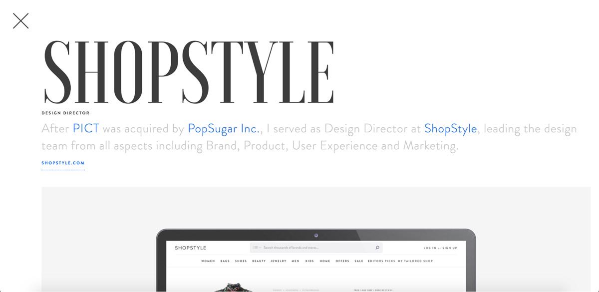 Portfolio item page headlines and subheads