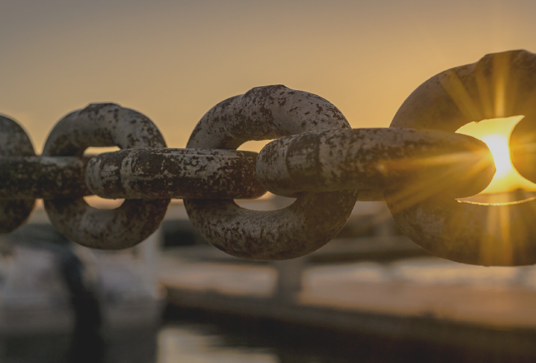 Use Social Proof to Build Credibility