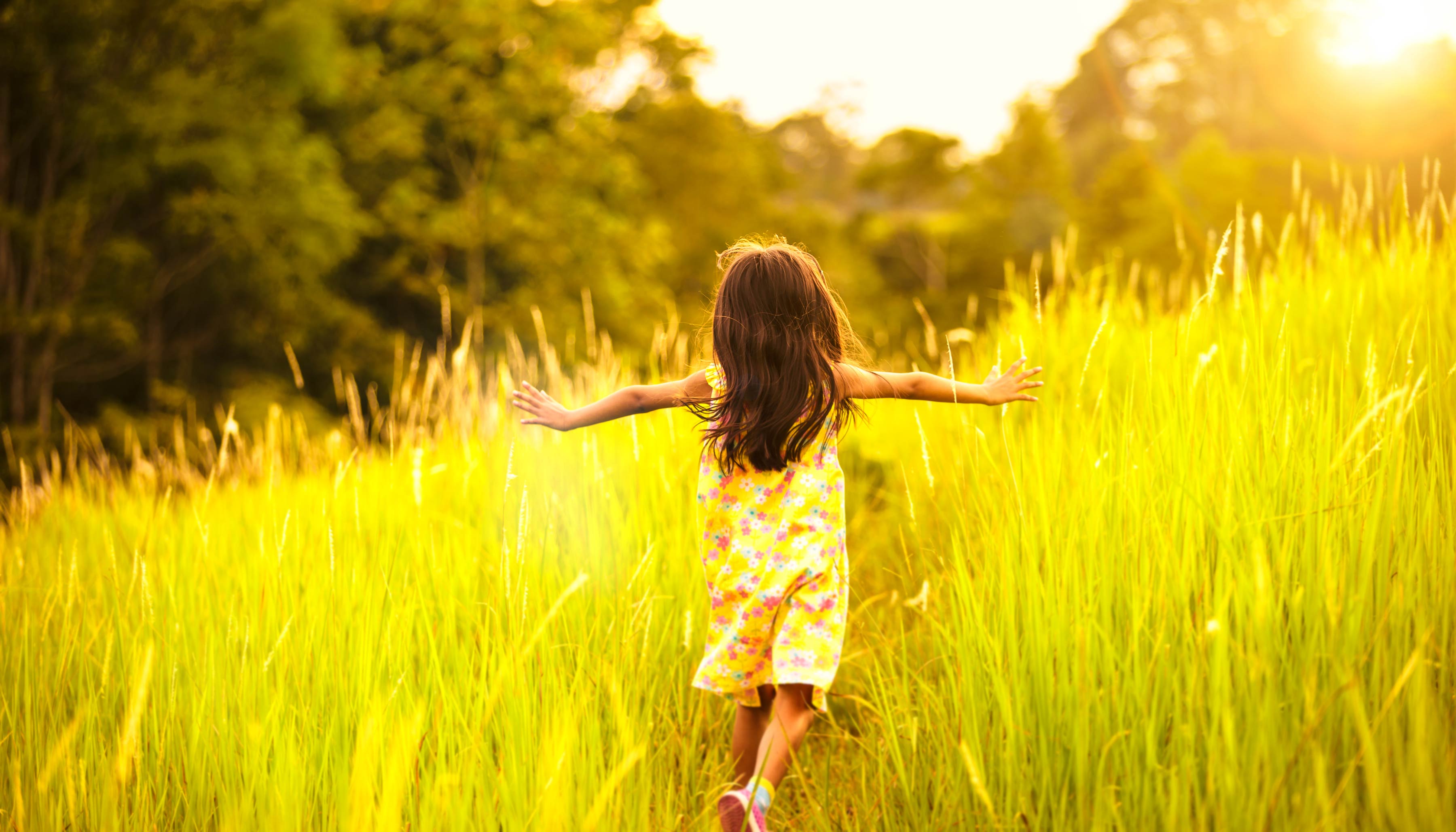 Combating-spring-allergies-image