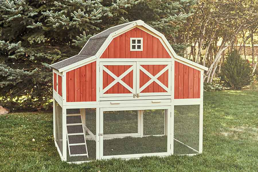 Chicken Coops & Hen Houses Chicken Saloon™