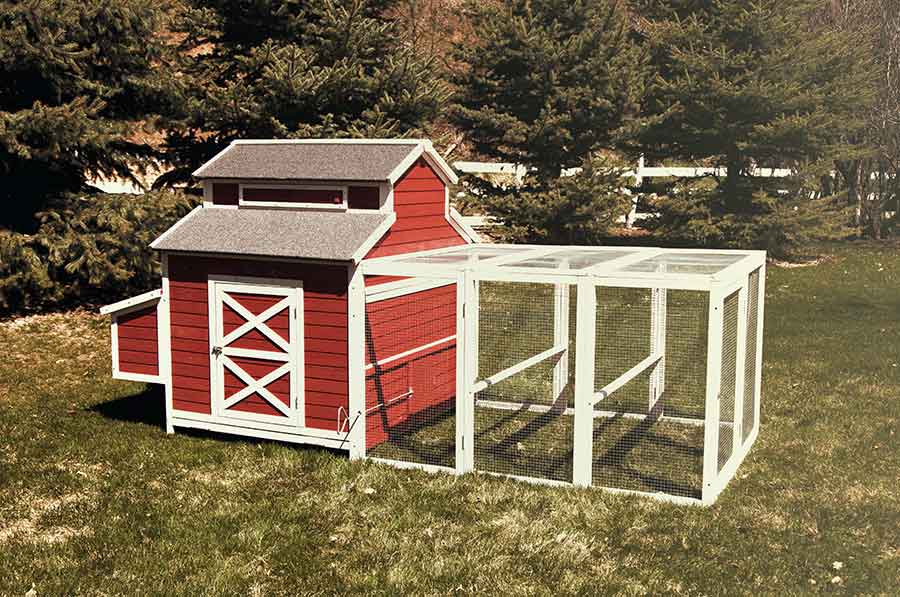 Chicken Coops & Hen Houses Chicken Saloon™