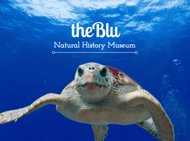 the natural history museum