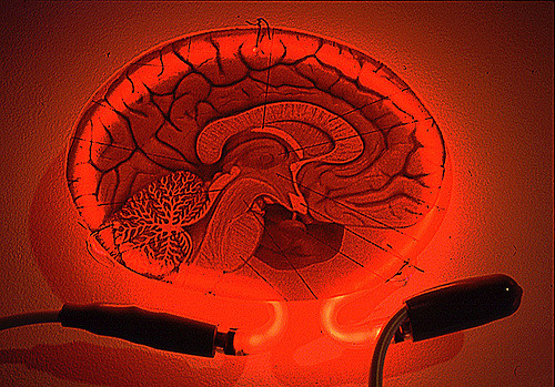 Pilcrow Neon Brain
