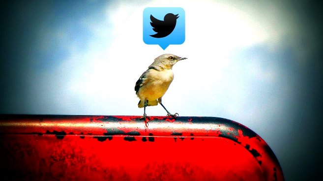 Pilcrow Twitter Bird