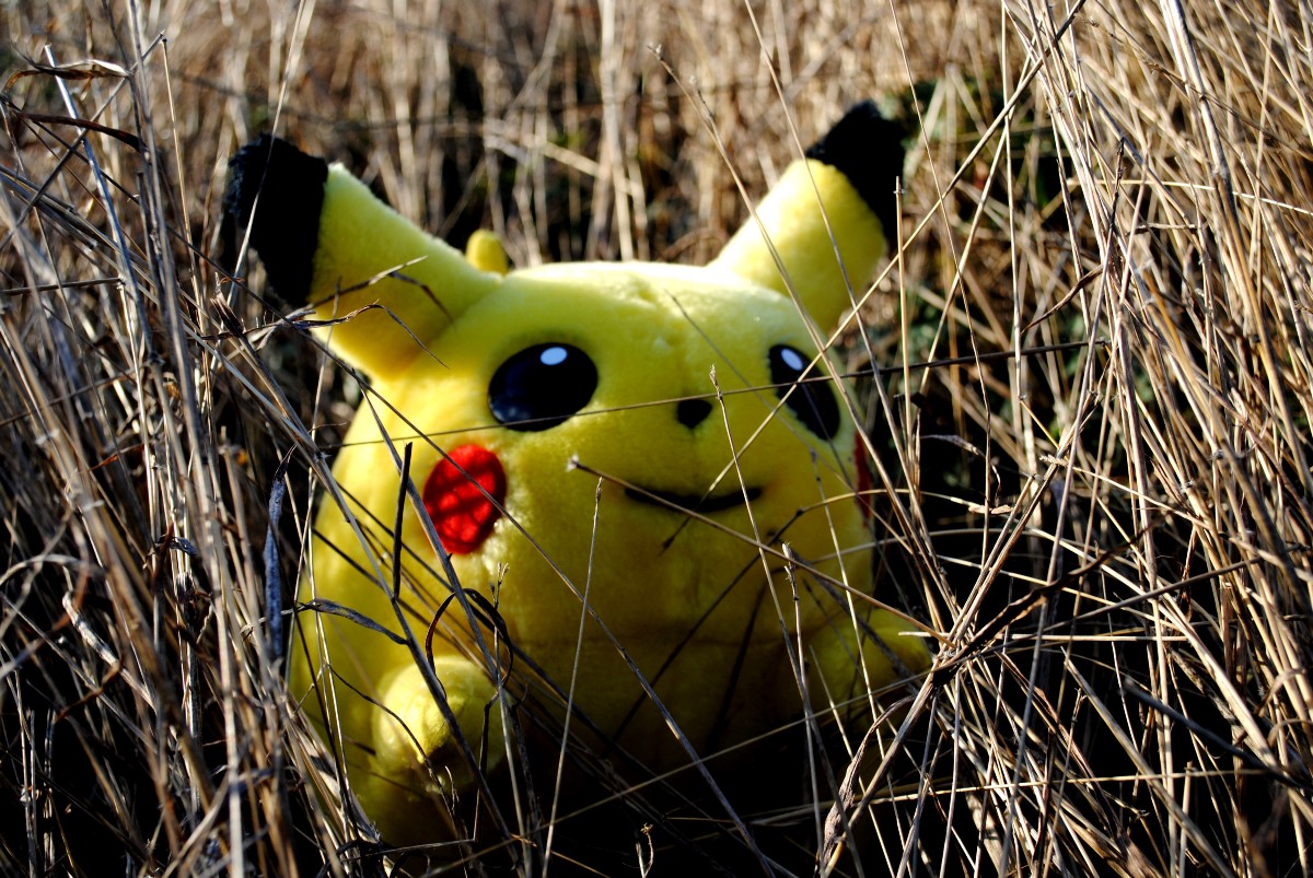 Pilcrow Pikachu Hiding
