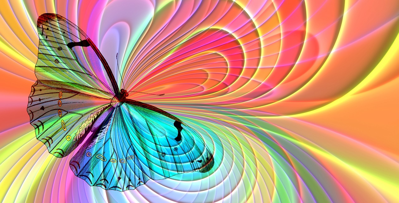 aesthetics butterfly ordia creative ordiacreative