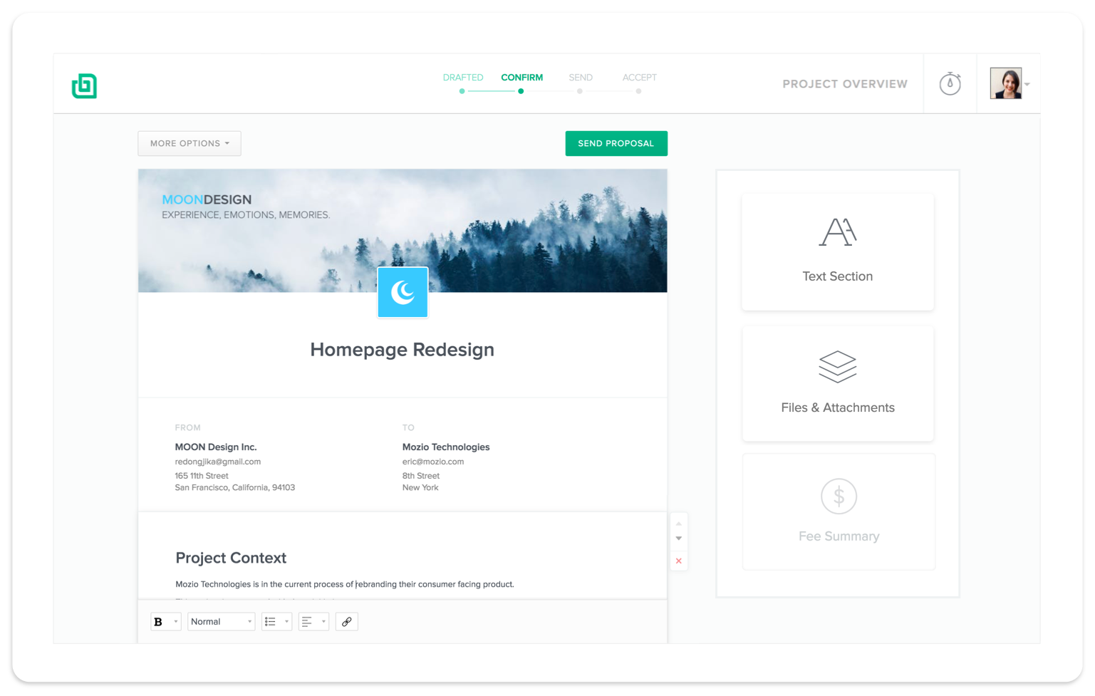 Freelance Design Proposal template