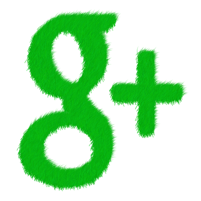 Why your business should set up a Google Plus Account