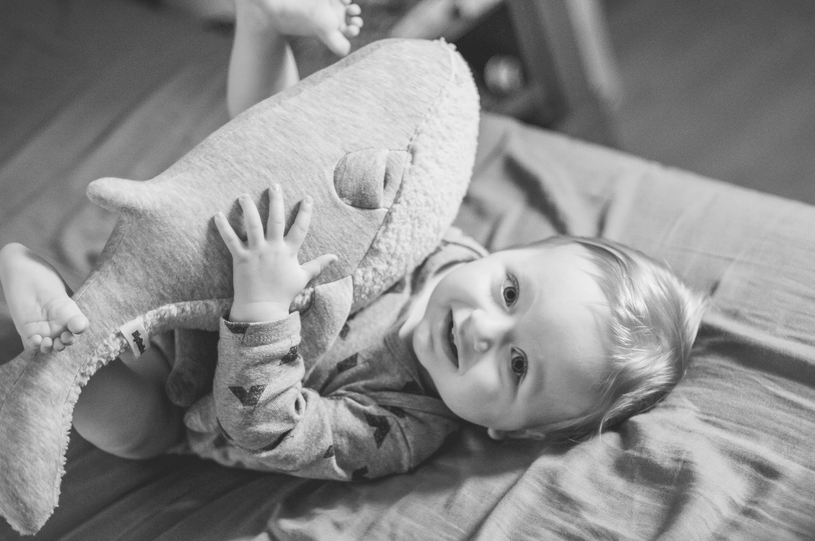 Offrir une peluche pas comme les autres