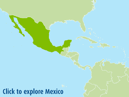 ....Mexico..Mexique....