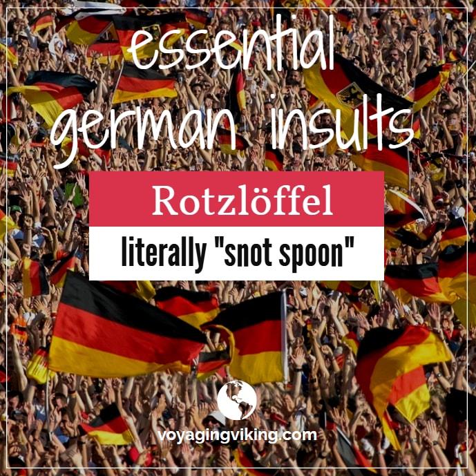swearing in german