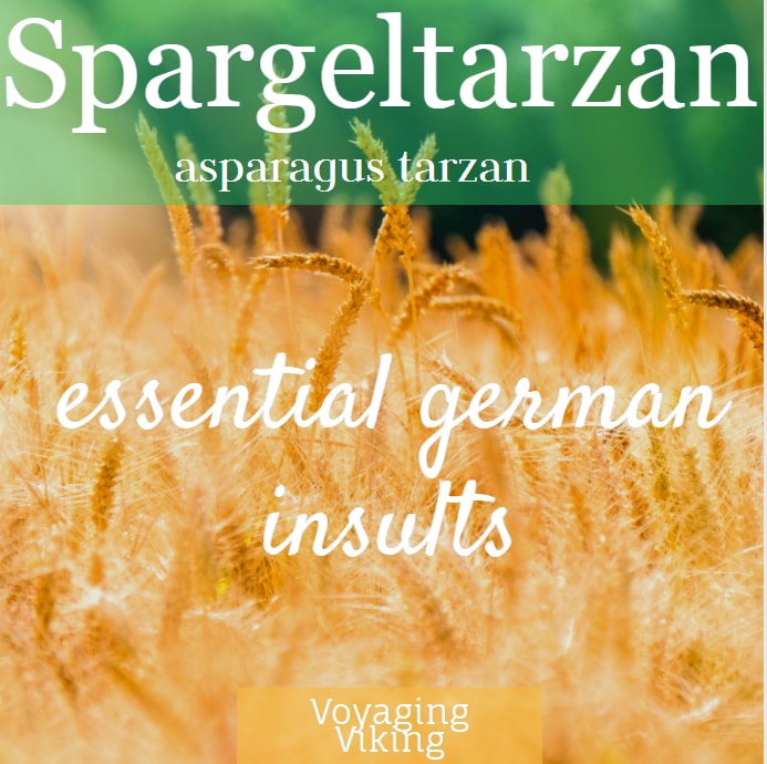 german insults