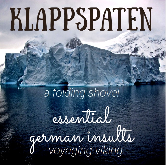 german insults