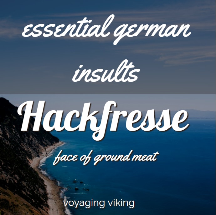 german insults