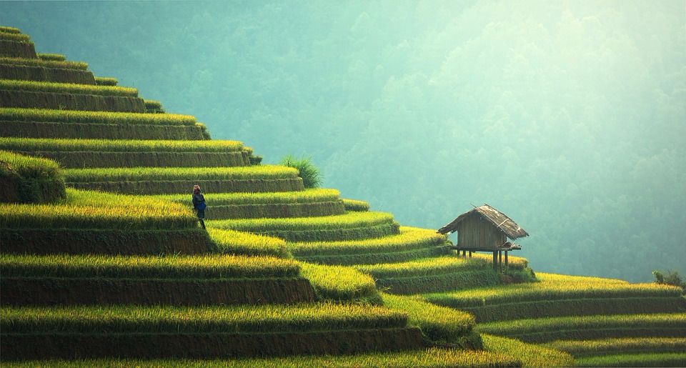 teach english china