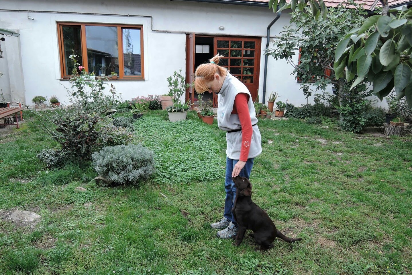 štěňátka