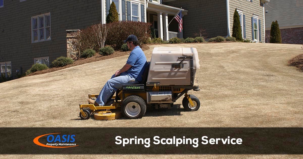Arkansas Spring Scalping Services