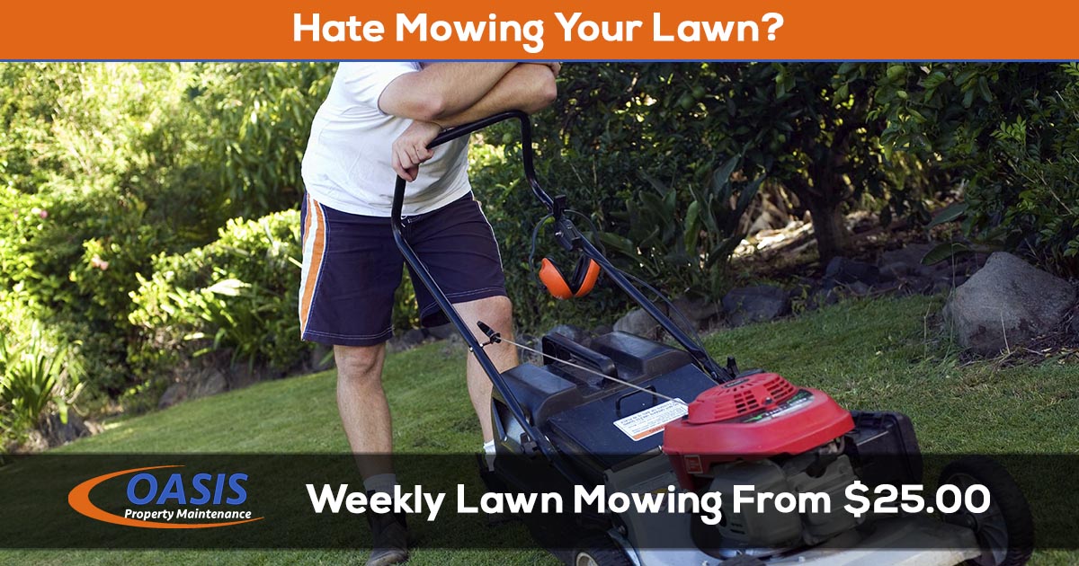 Lawn Mowing Service from $25 a week