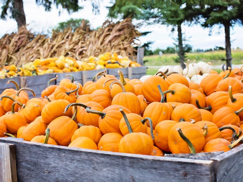 pumpkins in large wooden crate