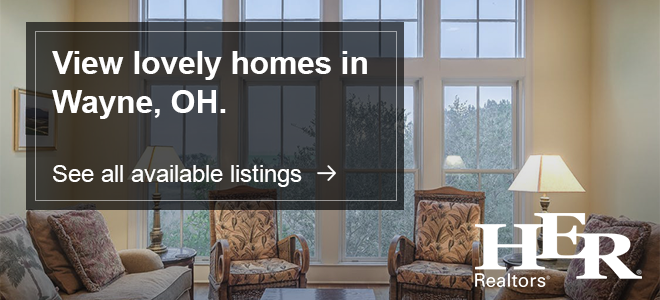Homes for Sale Wayne Ohio