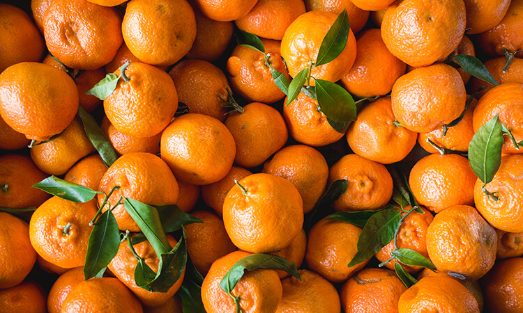 bright orange tangerines