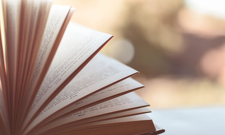 Book, open novel