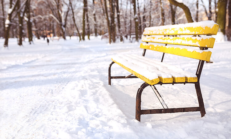 yellow bench in the park covered in snow
