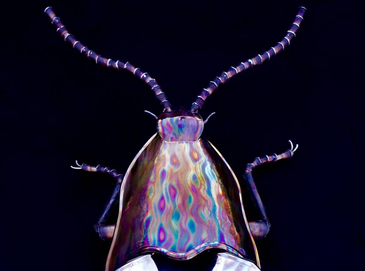 Close up of polished metal beetle sculpture