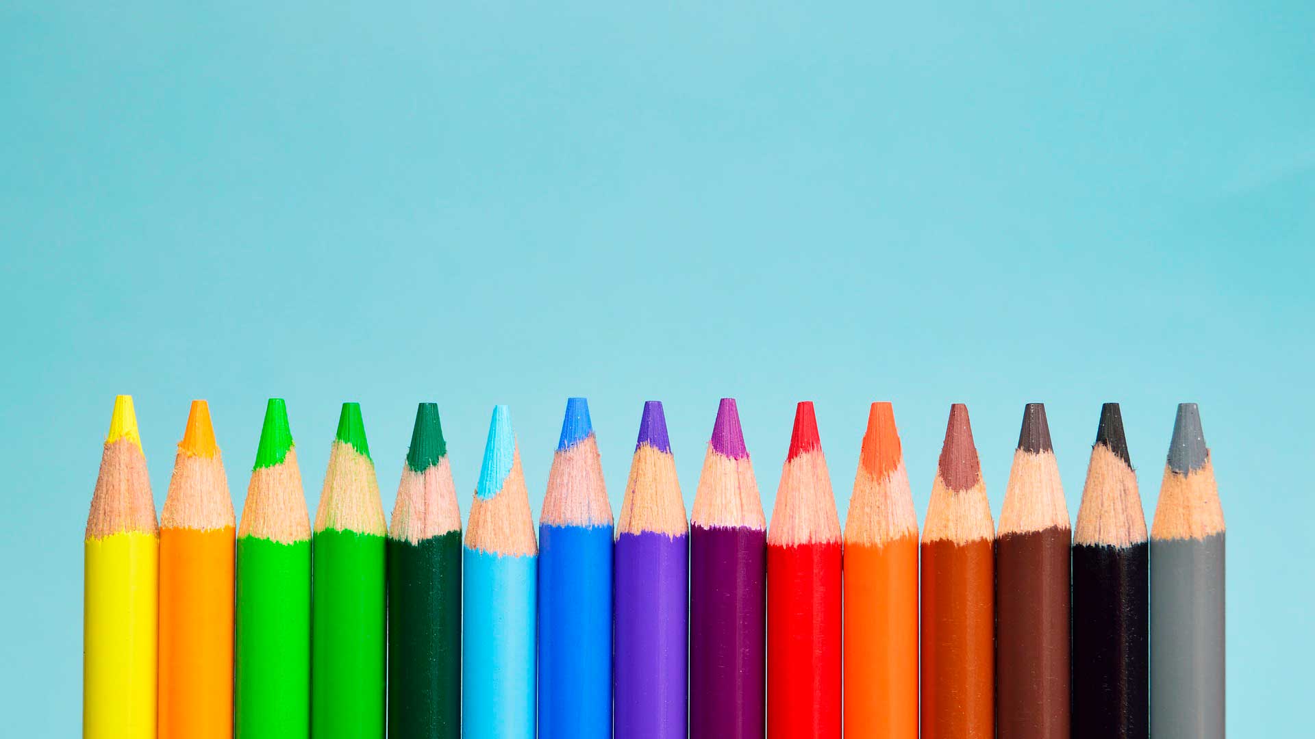 Lápis coloridos alinhados de pé