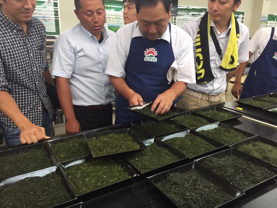 Chiran Green Tea contest