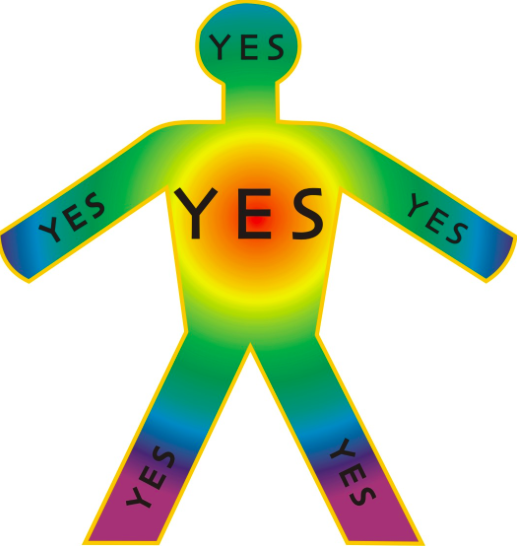 are you leading from your whole body yes conscious leadership