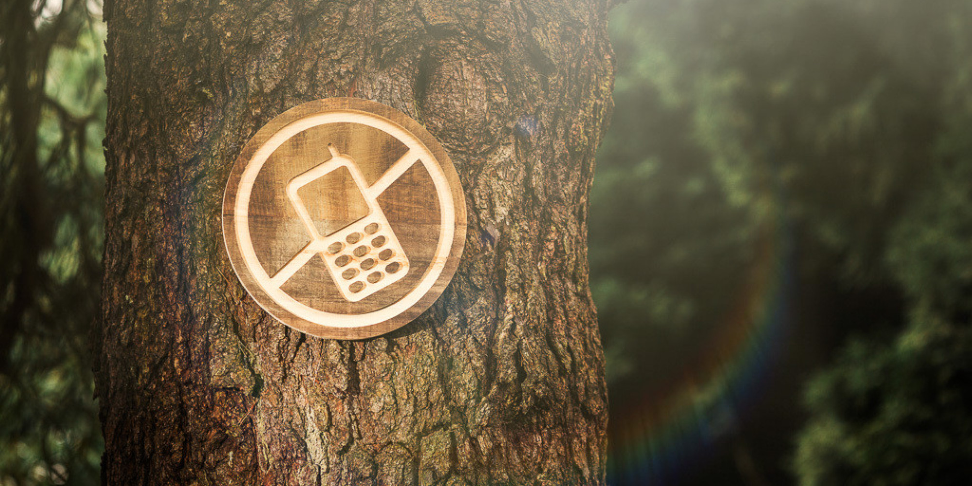 digital detox notification smarphone productivité