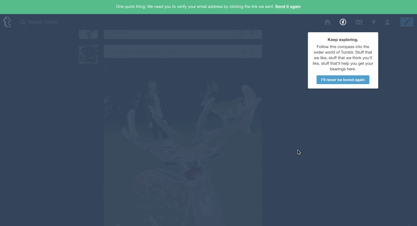 Tumblr user onboarding step 12