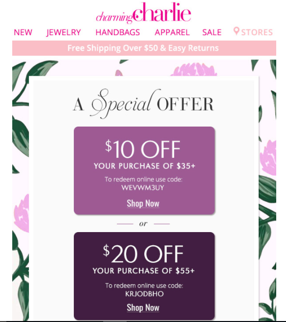 Charming Charlie's special offer email for customer retention