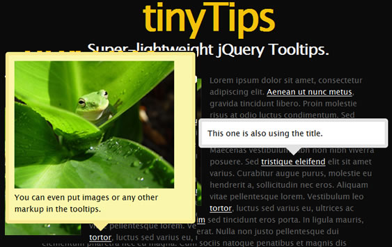 TinTips lightweight jquery plugin