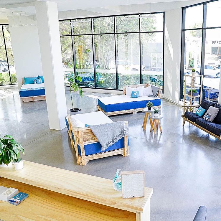 The Koala mattress headquarters (aka The Treehouse) in NSW