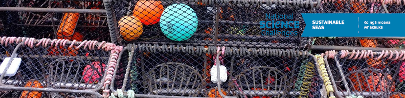 The Sustainable Seas National Science Challenge