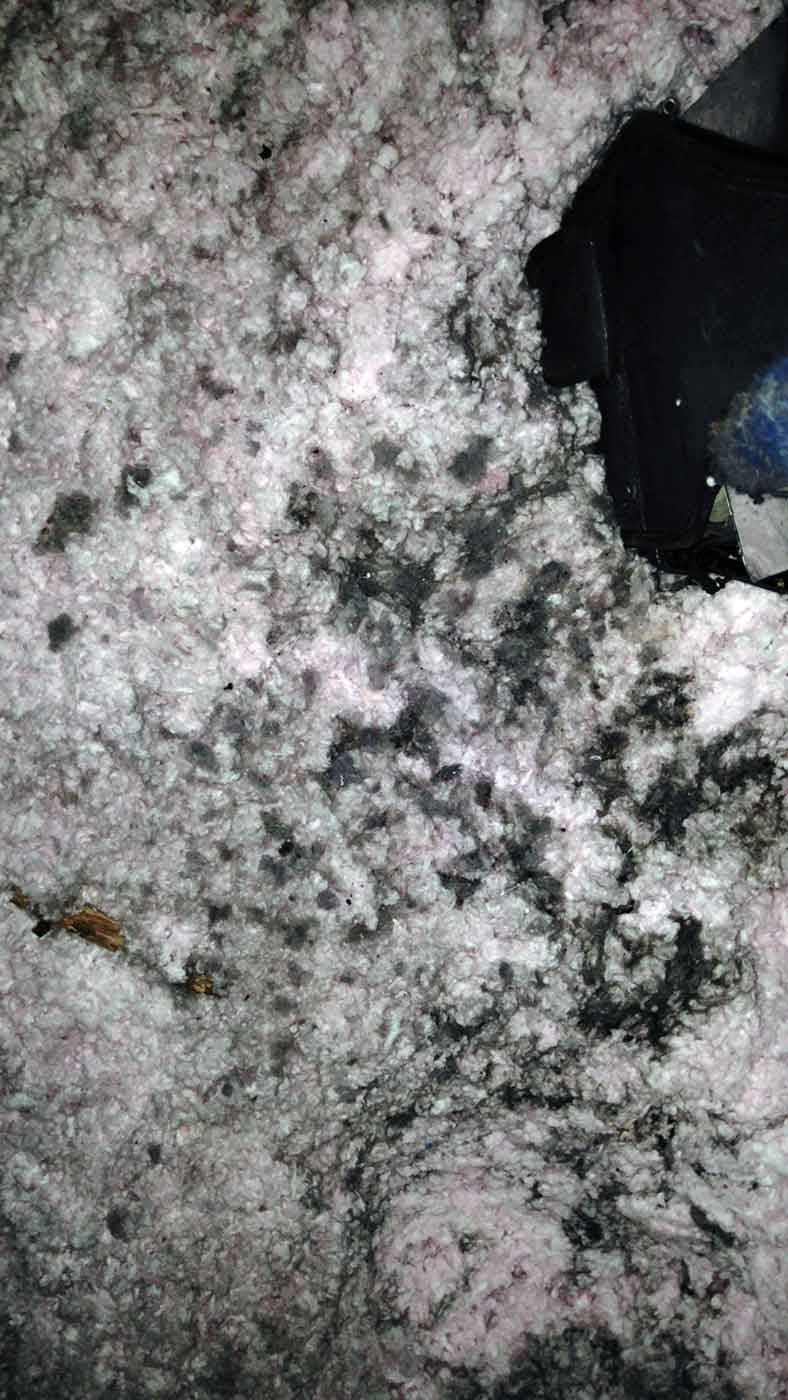 dryer lint in insulation