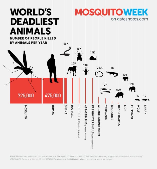 mosquito week infographic