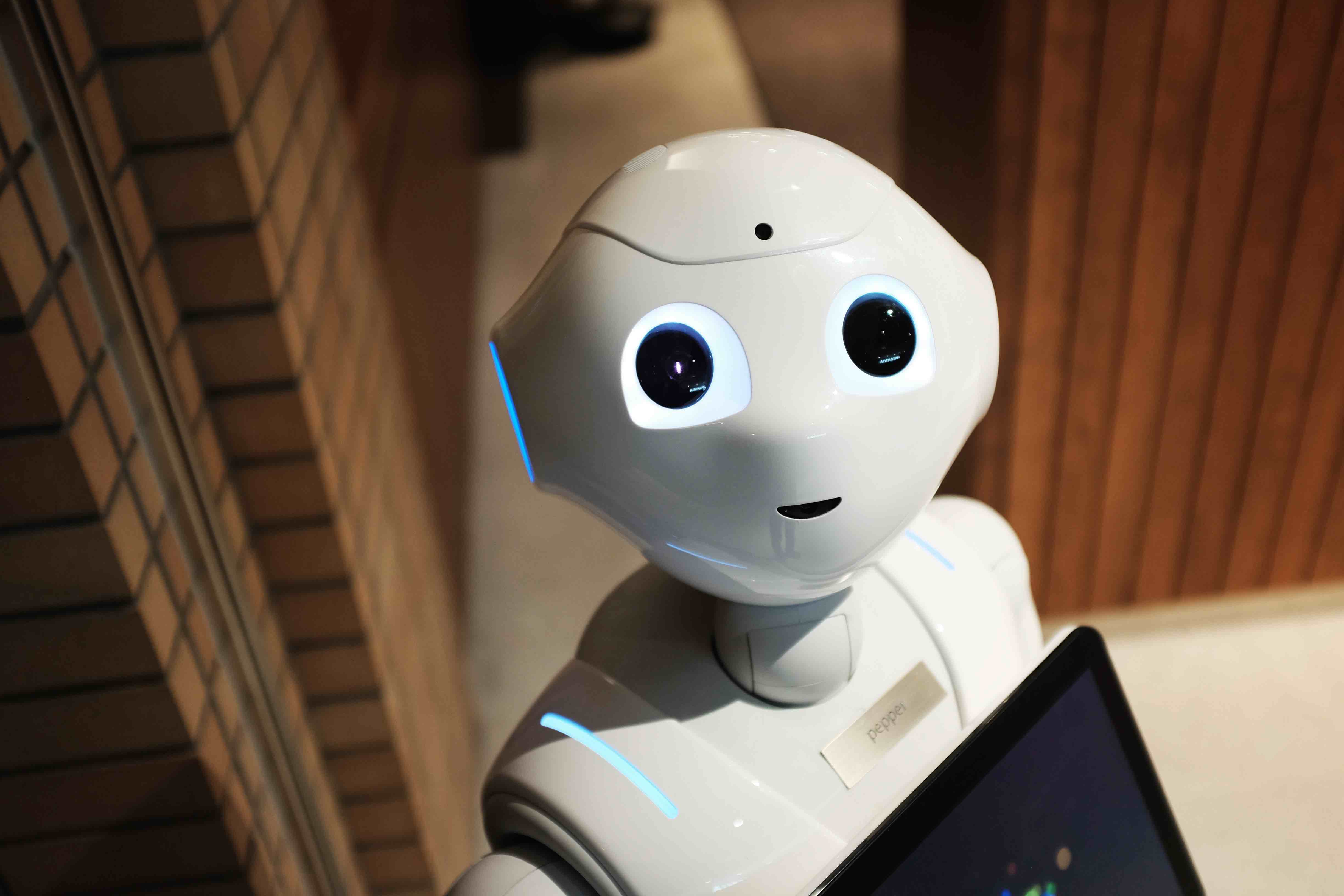 Microsoft AI headshot