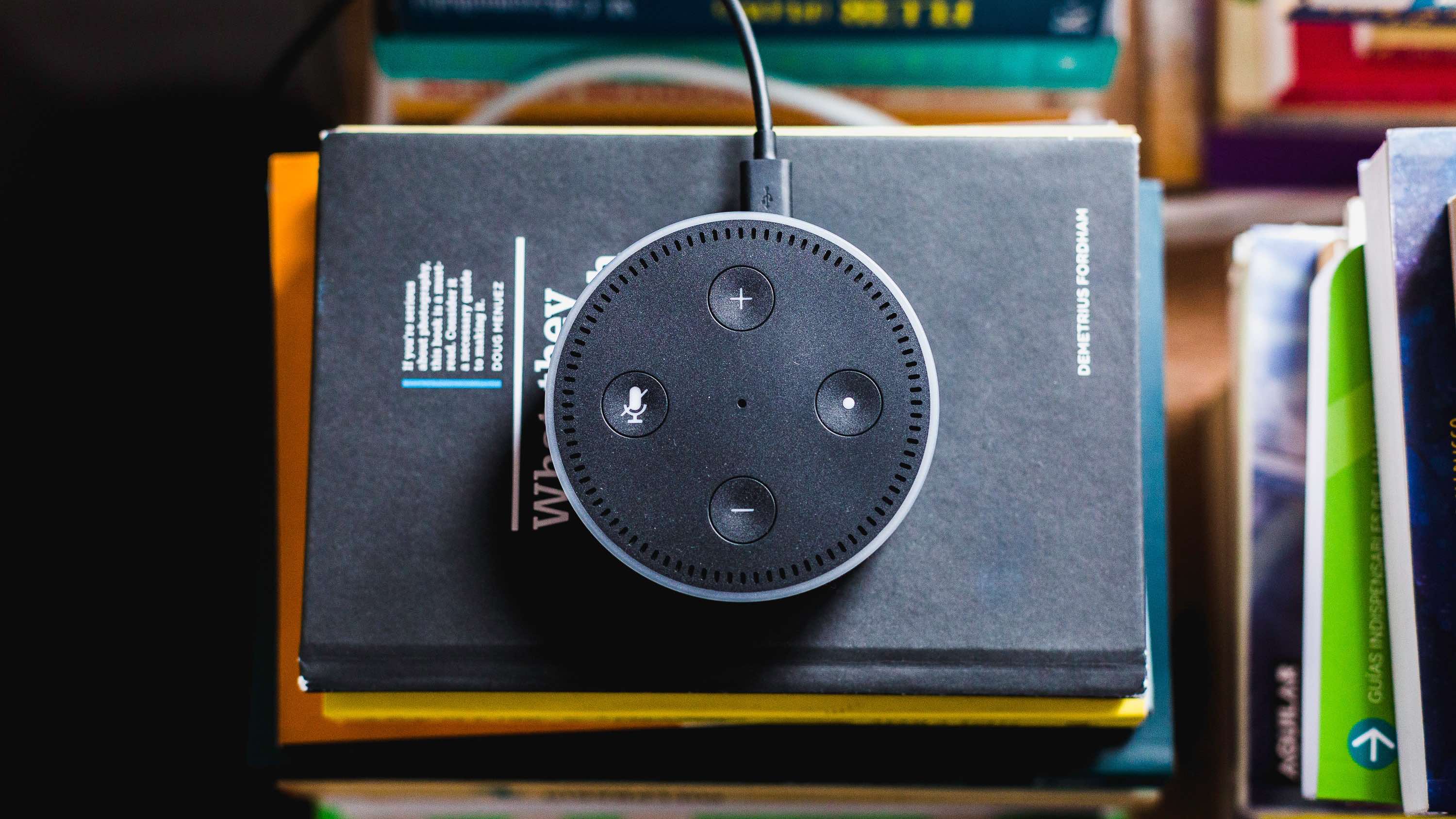 Amazon Alexa photograph
